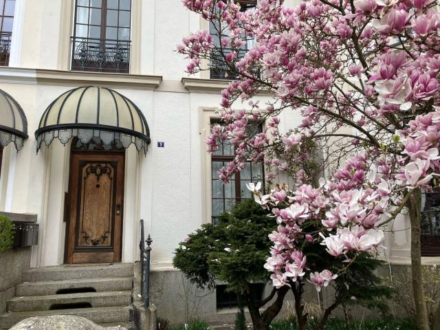 Apartment mieten in St. Johann, Saarbrücken