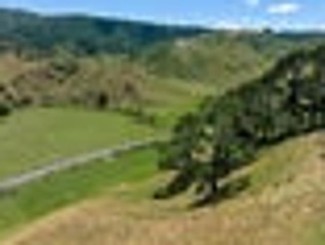 Land for sale in Whangamata, Waikato