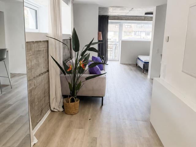 Apartment mieten in Stadtbezirk III, Essen