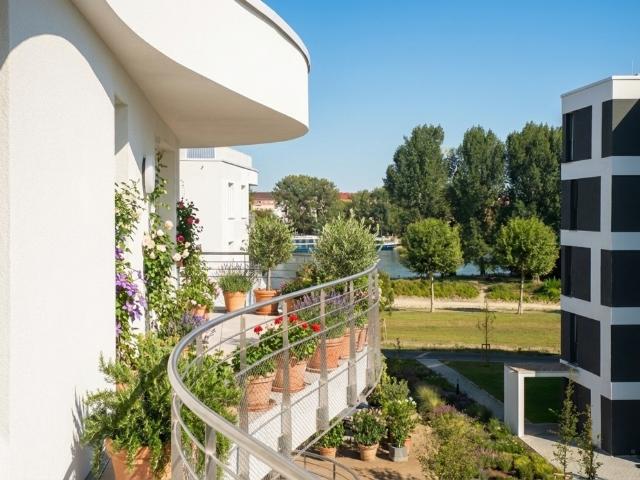 Apartment mieten in Ludwigshafen-Mundenheim, Ludwigshafen