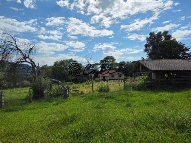 Sítio e chácara venda em Região Imediata de Ribeirão Preto, Região Metropolitana de Ribeirão Preto