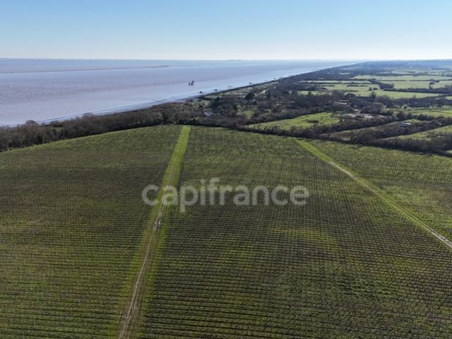 Maison vente à Lesparre-Médoc, Saint-yzans-de-médoc