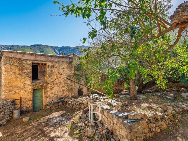 Maison vente à Calvi, L'ile-rousse