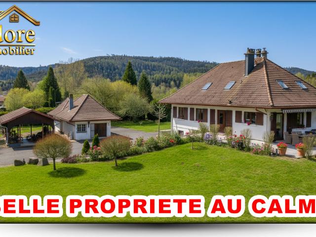 Maison vente à Saint-Dié-des-Vosges, Saint-michel-sur-meurthe