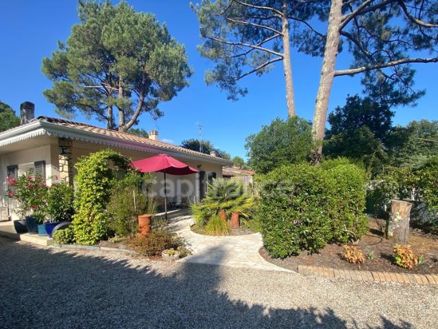 Maison vente à Lesparre-Médoc, Lacanau