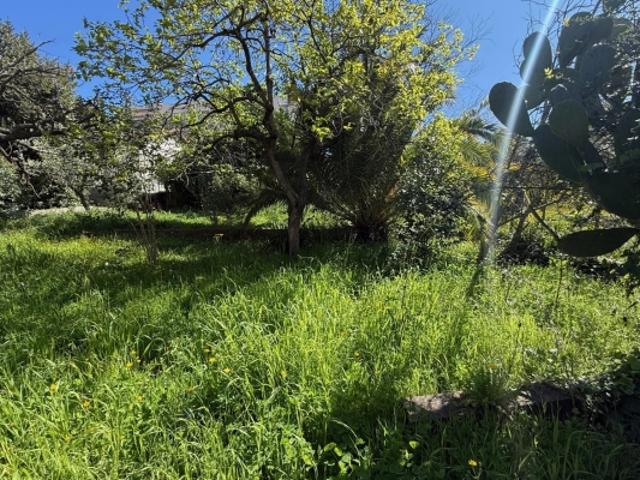 Maison vente à Grasse, Le Cannet
