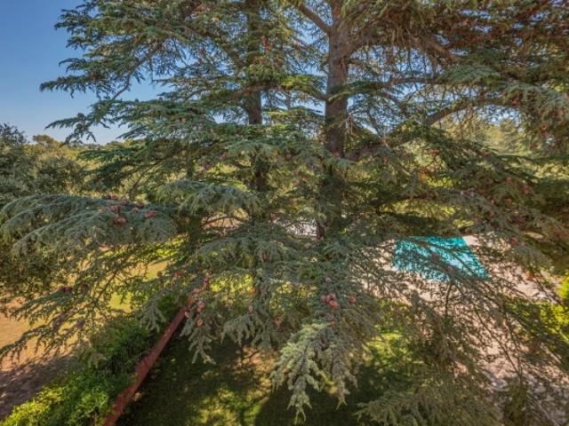 Maison vente à Arrondissement de Draguignan, Taradeau