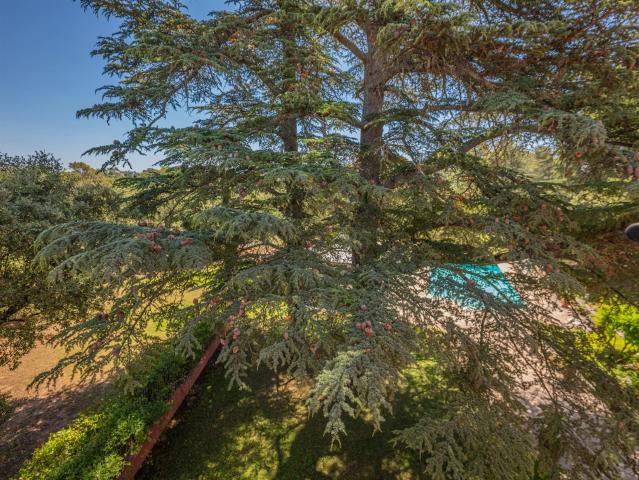 Maison vente à Arrondissement de Draguignan, Taradeau