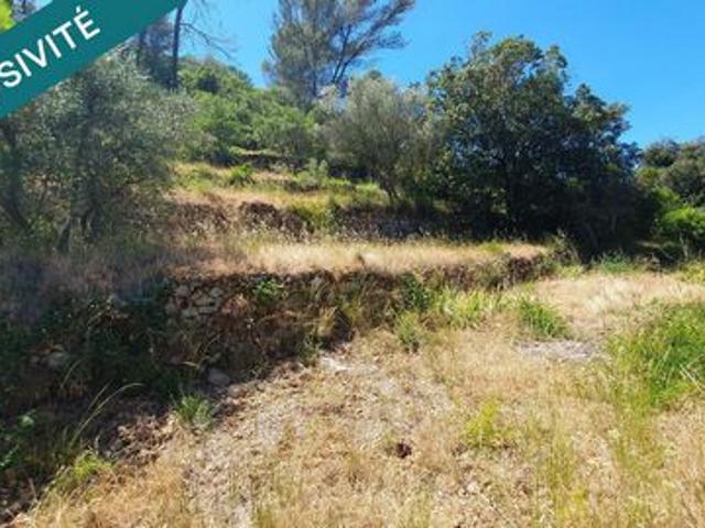 Terrain vente à Arrondissement de Toulon, Belgentier