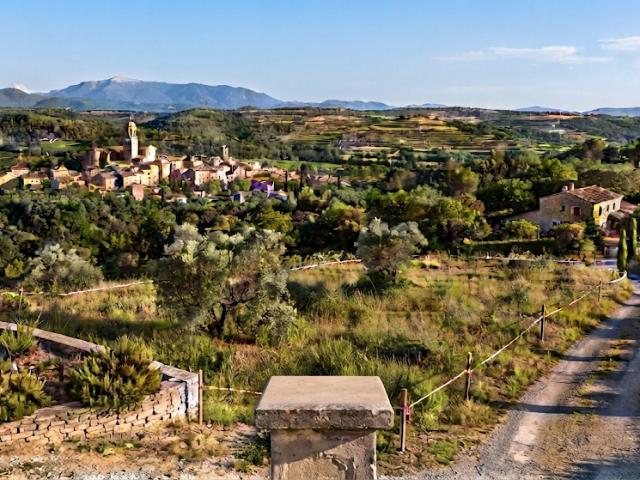 Terrain vente à Arrondissement de Draguignan, Lorgues