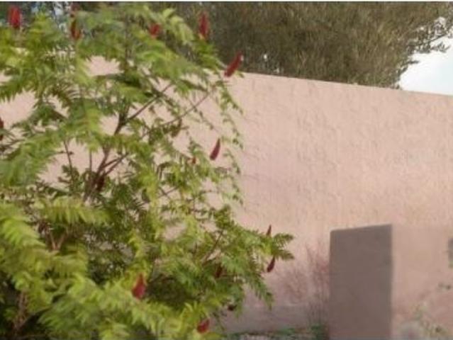 Piso en venta en Sierra de las Nieves, Andalucía