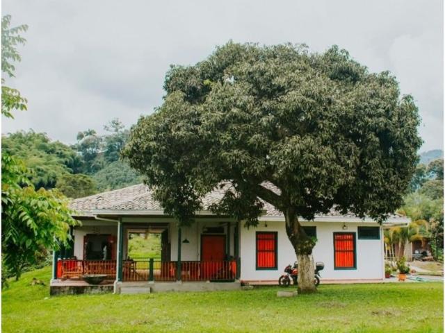 Exclusivo ático en alquiler Chinchiná, Colombia