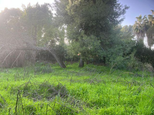 Casa en venta en San Pablo-Santa Justa, Sevilla