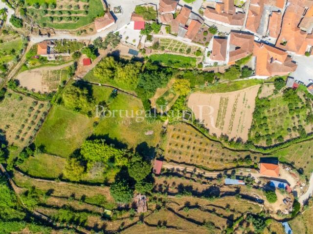 Vivenda venda em Afonsim, Vila Real