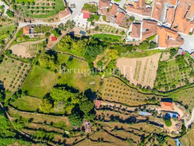 Quinta venda em Afonsim, Vila Real