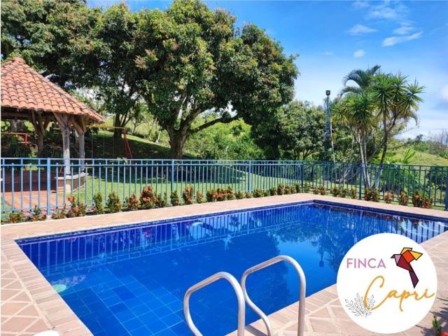 Local en arriendo en Caldas, Palestina