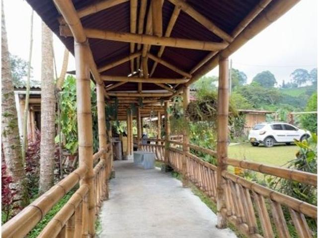 Local en venta en Quindío