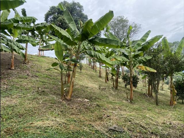 Exclusivo hotel en venta La Tebaida, Quindío Department