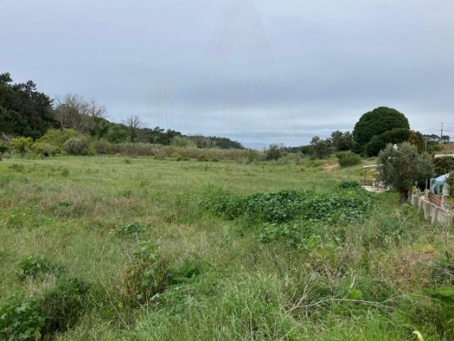 Terreno venda em Sesimbra (Castelo), Sesimbra