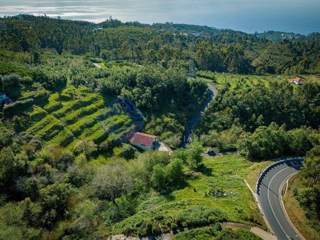 Terreno venda em Boa Nova, Funchal