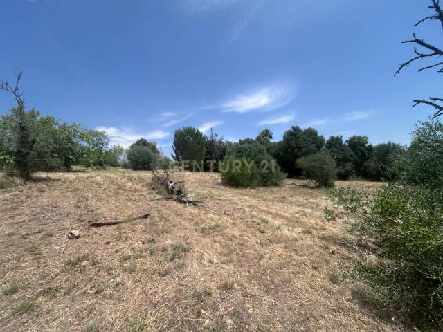 Terreno venda em Portela de Messines, São Bartolomeu De Messines