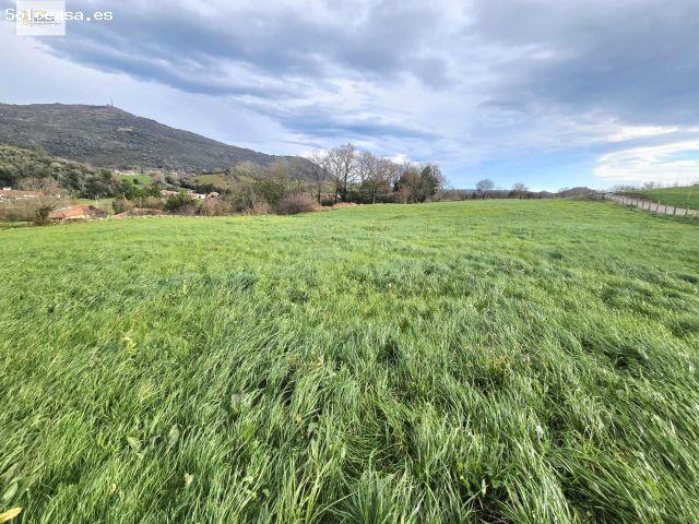 Local Comercial en venta en Liérganes, Cantabria