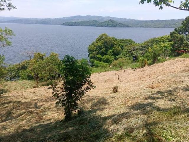 Terreno en venta en Maxacapan, Catemaco
