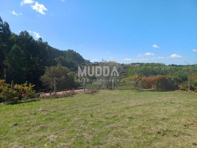 Terreno venda em Vale De Cambra, Aveiro