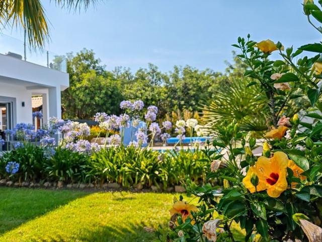 Vivenda venda em Casa Dos Pires, Albufeira