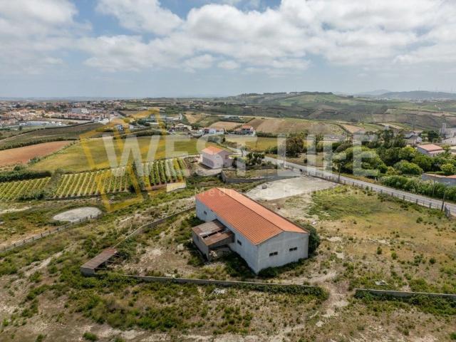 Loja venda em Mafra, Lisboa