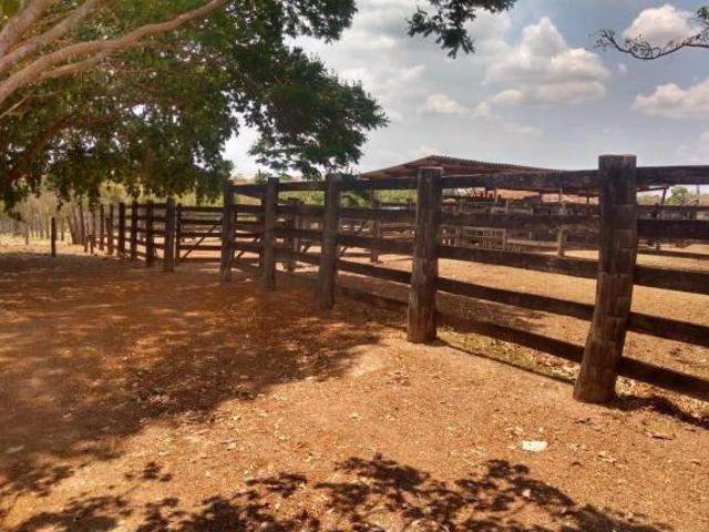 Sítio e chácara venda em Região Geográfica Imediata de Ceres - Rialma - Goianésia, Barro Alto