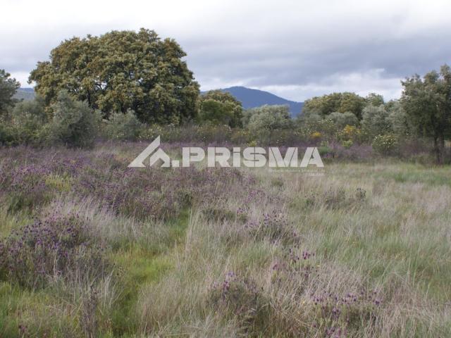 Terreno venda em Castelo Branco, Idanha-a-nova