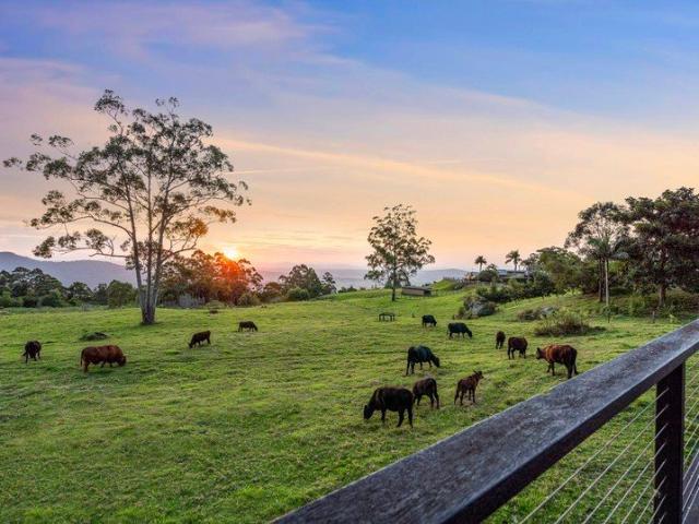 House for rent in Tamborine Mountain, Scenic Rim Regional