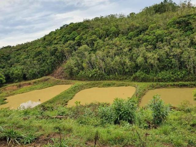 Sítio e chácara venda em Região Imediata de Registro, Jacupiranga