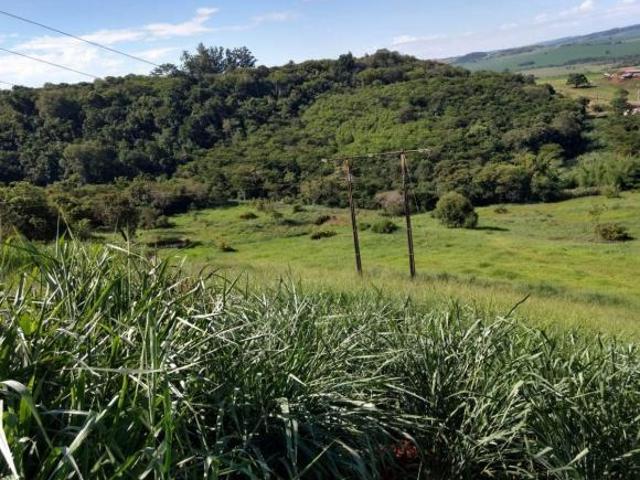 Sítio e chácara venda em Região Geográfica Imediata de Maringá, Doutor Camargo