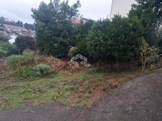 Terreno venda em Região Geográfica Imediata de Bento Gonçalves, Bento Gonçalves