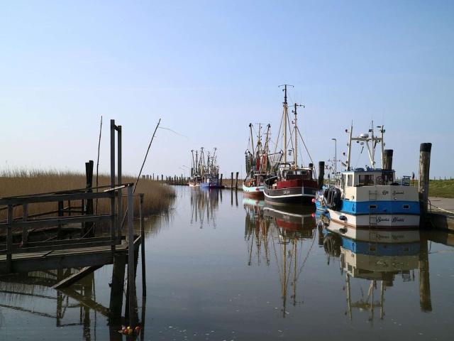 Haus kaufen in Wremen, Niedersachsen