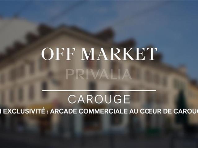 Wohnung kaufen in Carouge (GE)