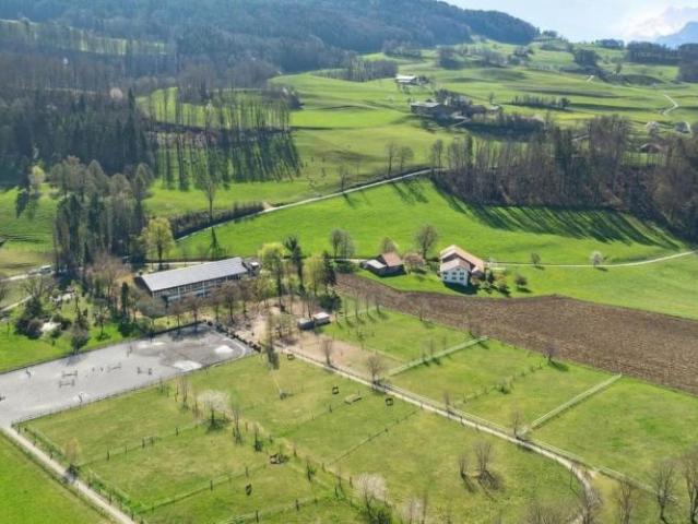 Haus kaufen in Puidoux, Waadt