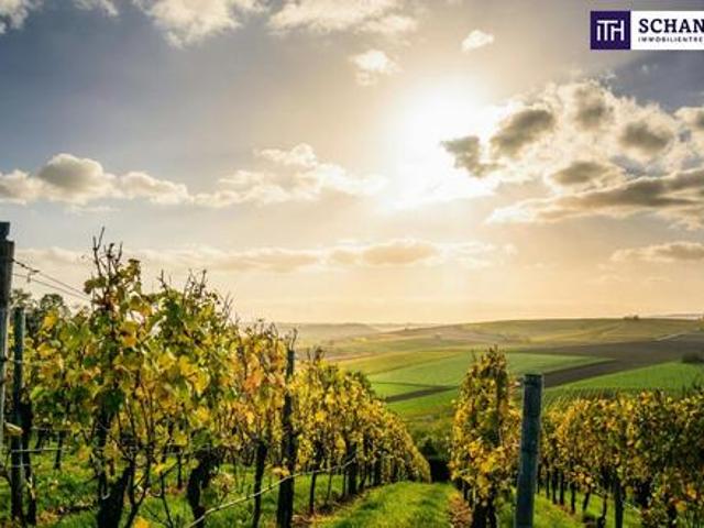 Haus kaufen in Gamlitz, Steiermark