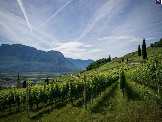 Haus kaufen in Gamlitz, Steiermark