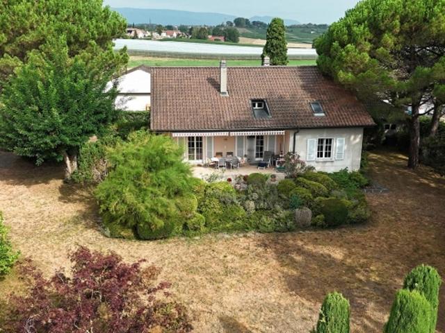 Einfamilienhaus kaufen in Tolochenaz, Waadt
