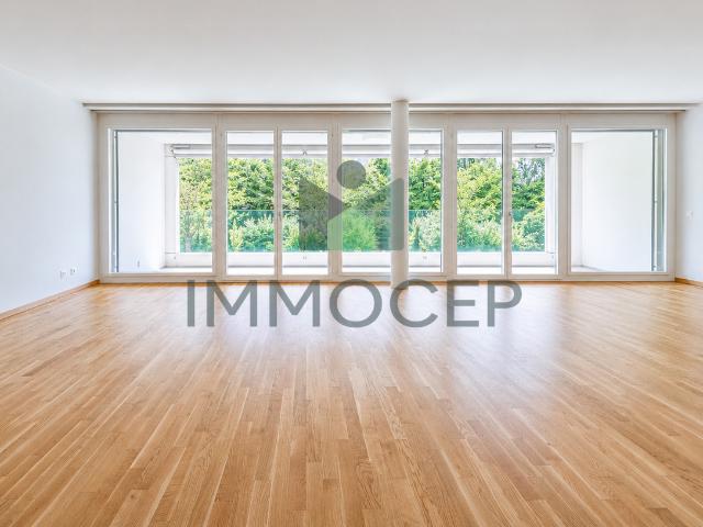 Wohnung kaufen in Carouge (GE)