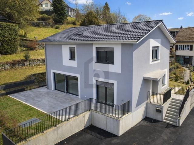 Einfamilienhaus kaufen in Gontenschwil