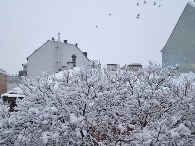 Wohnung kaufen in Seestadt, Wien