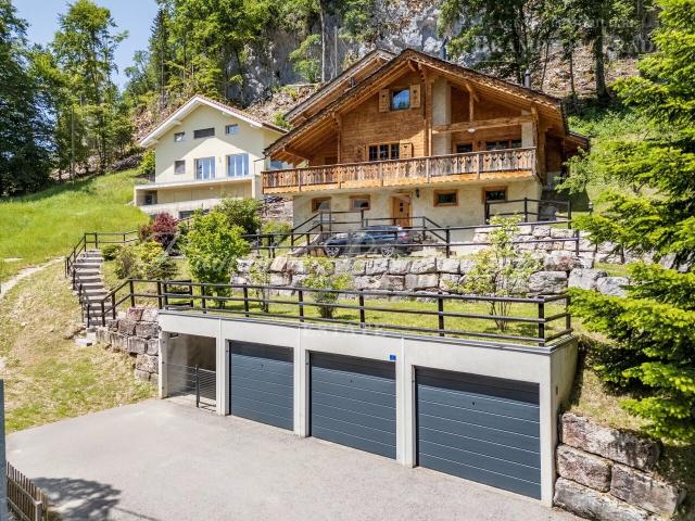 Haus kaufen in Saint-Cergue, Waadt