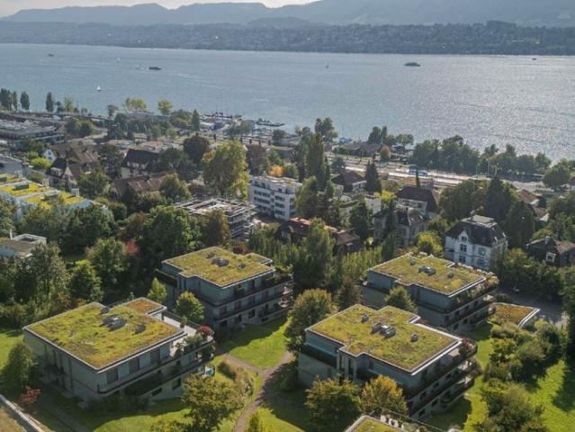 Apartment mieten in Einigen, Zürich