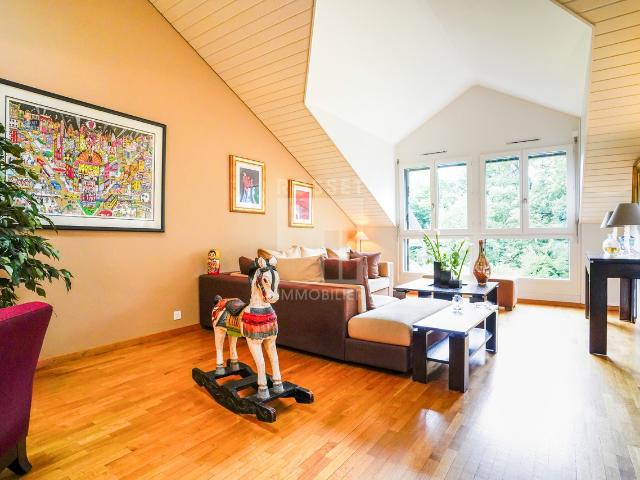 Attikawohnung kaufen in Carouge (GE)