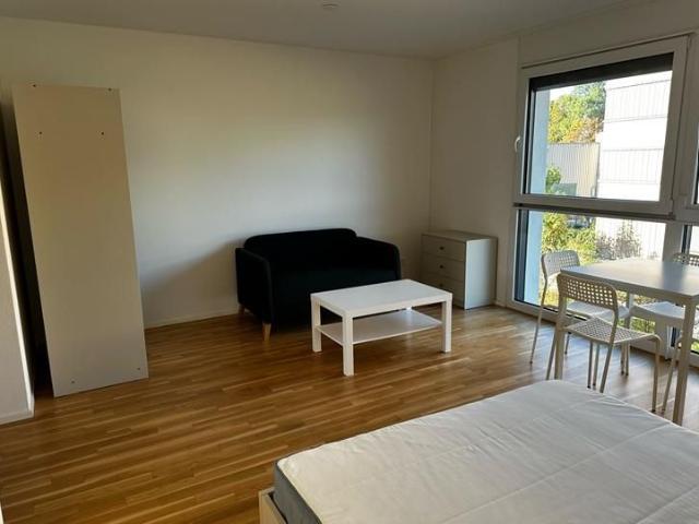 Apartment mieten in Seon, Bezirk Lenzburg
