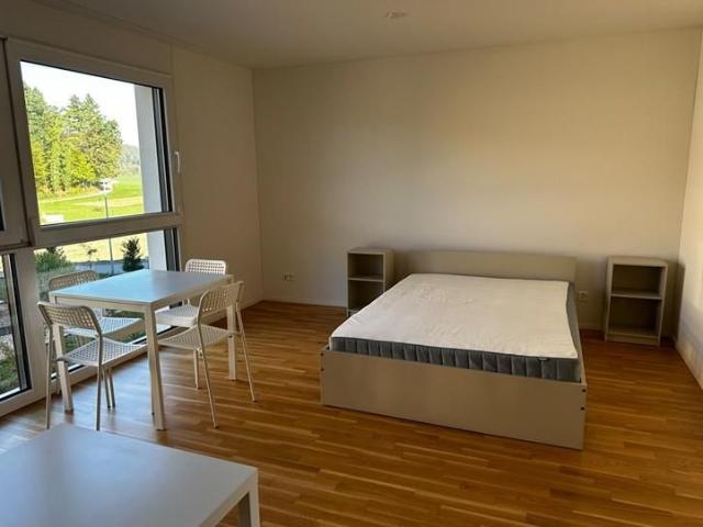 Apartment mieten in Industrie Birren, Seon
